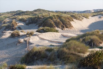 Merlimont Plage, Stella-Merlimont dunes
