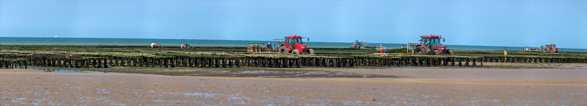 Côte de nacre, landing beaches