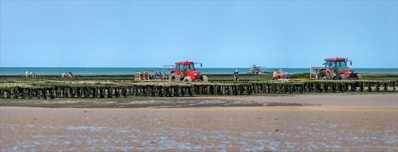 Côte de nacre, landing beaches