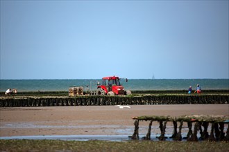 Côte de nacre, landing beaches