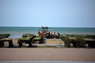 Côte de nacre, landing beaches