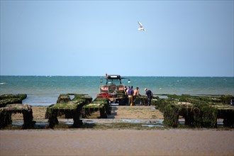 Côte de nacre, landing beaches