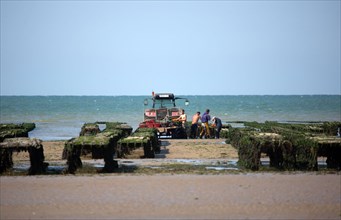 Côte de nacre, landing beaches