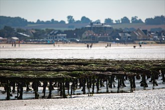 Côte de nacre, landing beaches