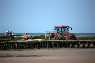 Côte de nacre, landing beaches