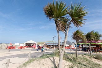 Côte de nacre, landing beaches