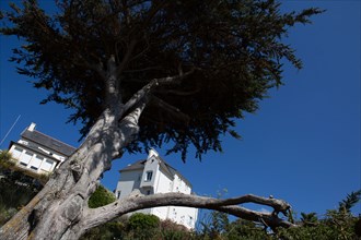 Pleneuf Val André, coastal path