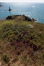 Pleneuf Val André, coastal path