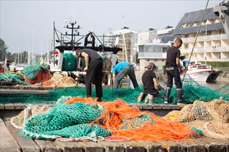 Darning nets, Calvados