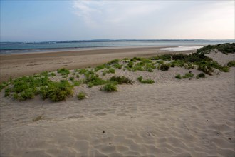 Plage du butin in Honfleur