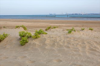 Plage du butin in Honfleur