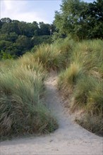 Plage du butin in Honfleur