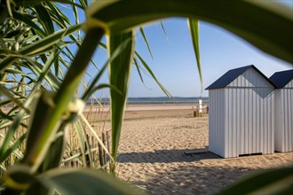 Plage du butin à Honfleur