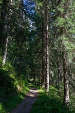 Morzine, Haute-Savoie, au fil de la Dranse de Morzine depuis le lac des Mines d'Or