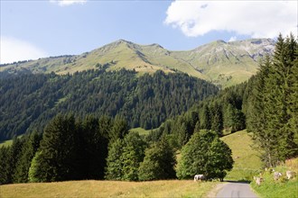 Morzine, Haute-Savoie, au fil de la Dranse de Morzine depuis le lac des Mines d'Or