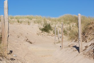 Sand dunes of Biville (Manche)