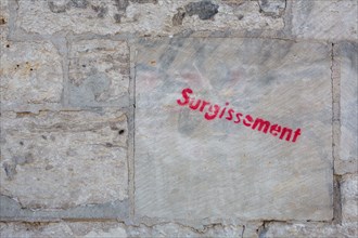 Rouen (Seine Maritime), stencil 'surgissement' tag