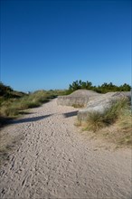 Courseulles-sur-Mer (Calvados)