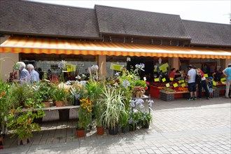 Courseulles-sur-Mer (Calvados)