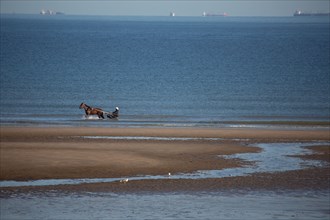 Blonville-sur-Mer (Calvados)