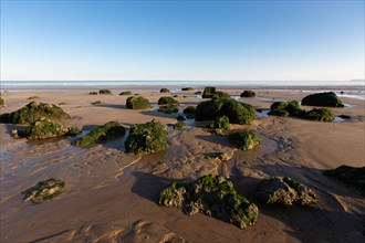Benerville-sur-Mer (Calvados)