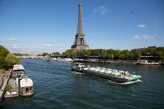 Paris,the Seine river and the Eiffel Tower