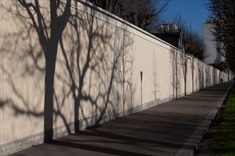 Paris, projected shadow