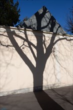 Paris, projected shadow