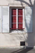 Paris, window and shadow of a tree in winter