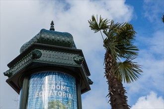 Paris, palm trees and Morris column (advertising column)