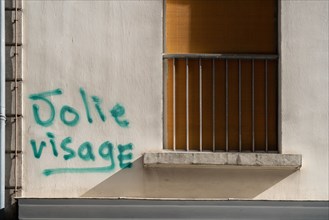 Paris, graffiti with a spelling mistake