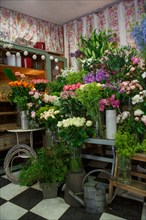 Paris, flower shop on rue d'Alésia