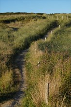 Pointe de Kermorvan, Finistère nord, GR34