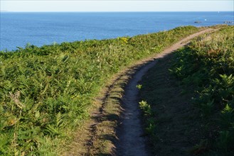 Pointe de Kermorvan, Finistère nord