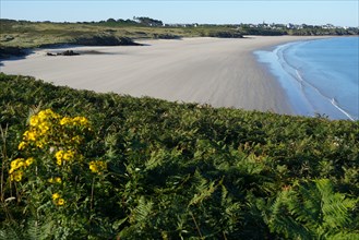 Pointe de Kermorvan, Finistère nord