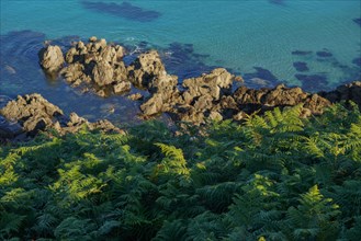 Pointe de Kermorvan, Finistère nord