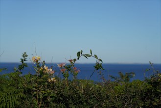 Pointe de Kermorvan, Finistère nord