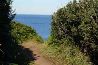 Pointe de Kermorvan, Finistère nord