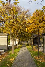 Paris, cimetière du Montparnasse à la Toussaint