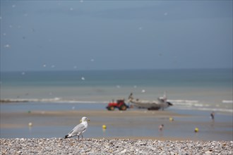 Quiberville-sur-Mer (Seine-Maritime)