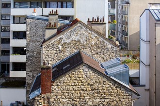 Paris, roofs and chimneys