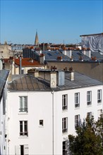 Paris 15th arrondissement, roofs and chimneys