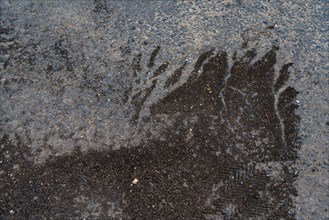 Trouville, wet pavement