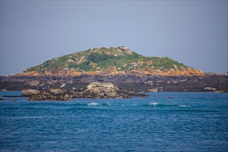 Iles Chausey, Manche