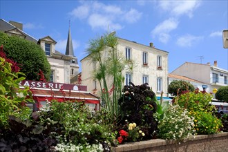 Saint-Gilles-Croix-de-Vie, Vendée