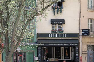 Paris, pâtisserie "Odette"
