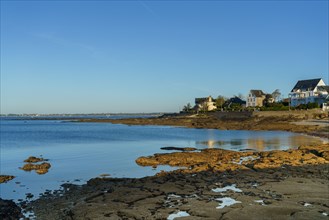 Concarneau, Finistère