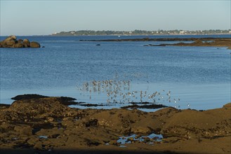 Concarneau, Brittany, France