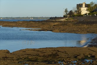 Concarneau, Brittany, France