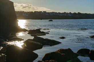 Concarneau, Brittany, France